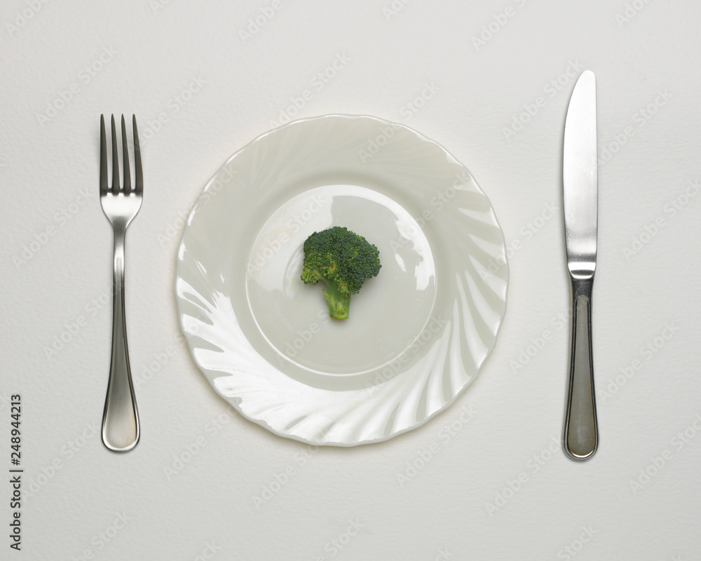 BROCCOLI FLORET ON WHITE PLATE WITH KNIFE AND FORK BROCCOLI FLORET ON WHITE PLATE WITH KNIFE AND FORK
