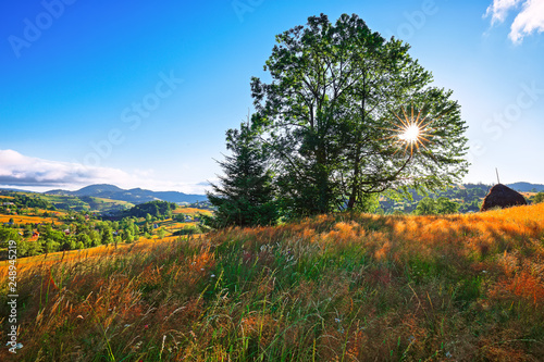 Fototapeta Naklejka Na Ścianę i Meble -  Beautiful countryside landscape with forested hills and haystacks on a grassy rural field in mountains