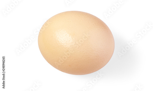 Egg. Isolated on white