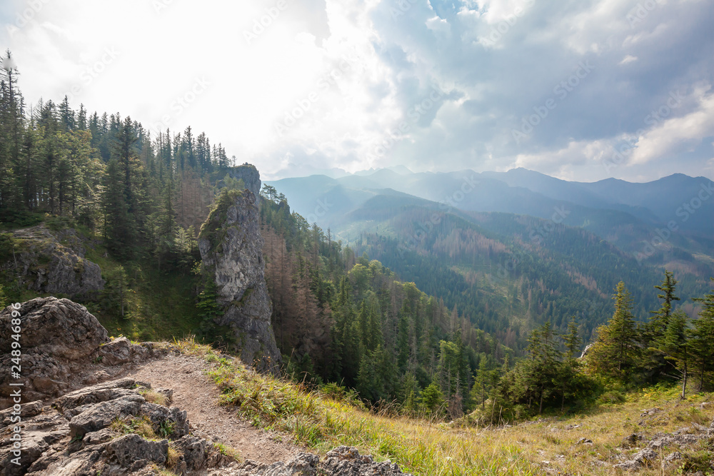 Nosal peak