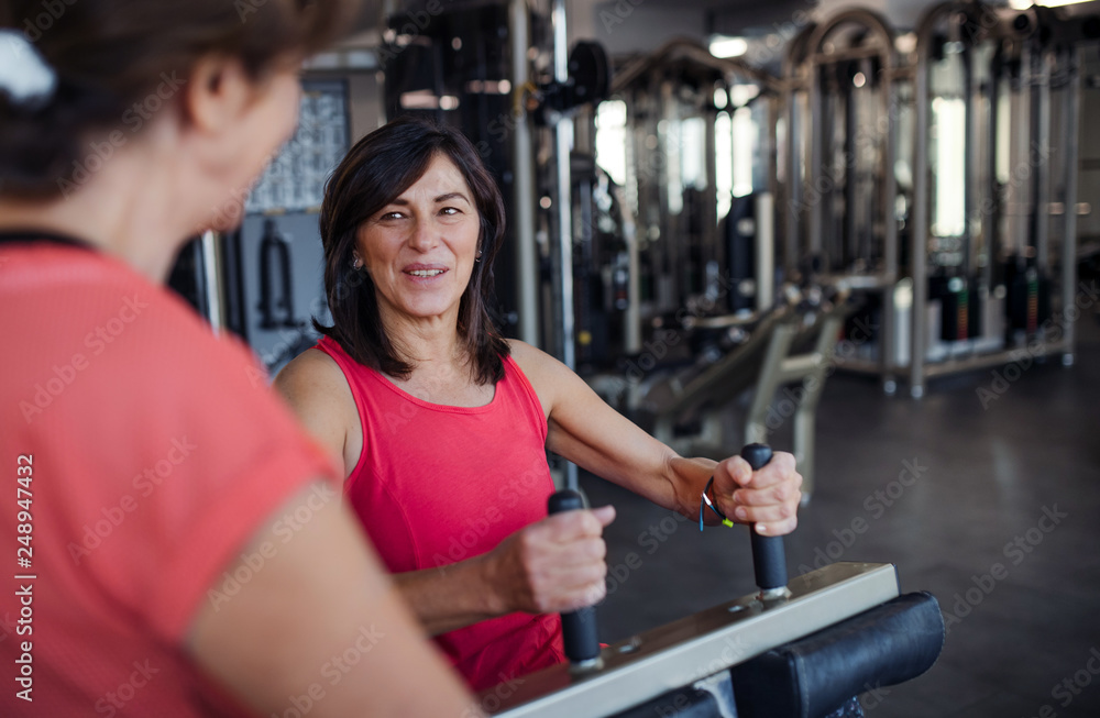 Fototapeta premium Two cheerful senior women in gym doing strength workout exercise.