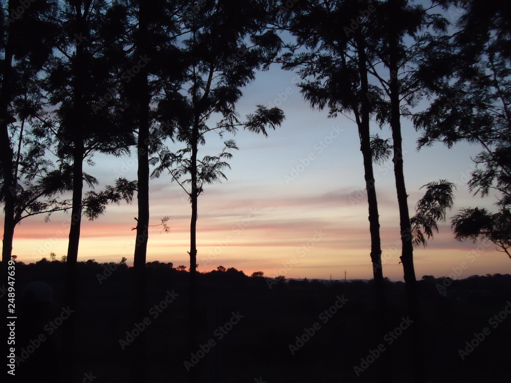 Sunset Evening Sunset Evening