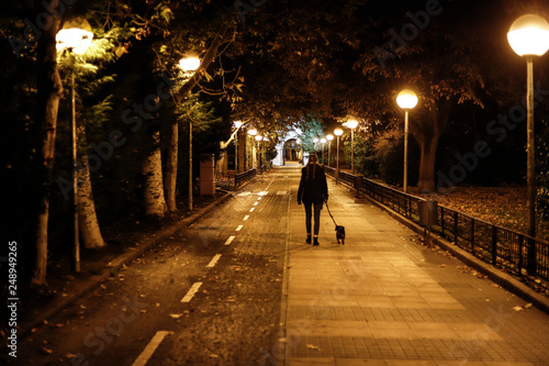 young pretty girl walking the dog at night in winter