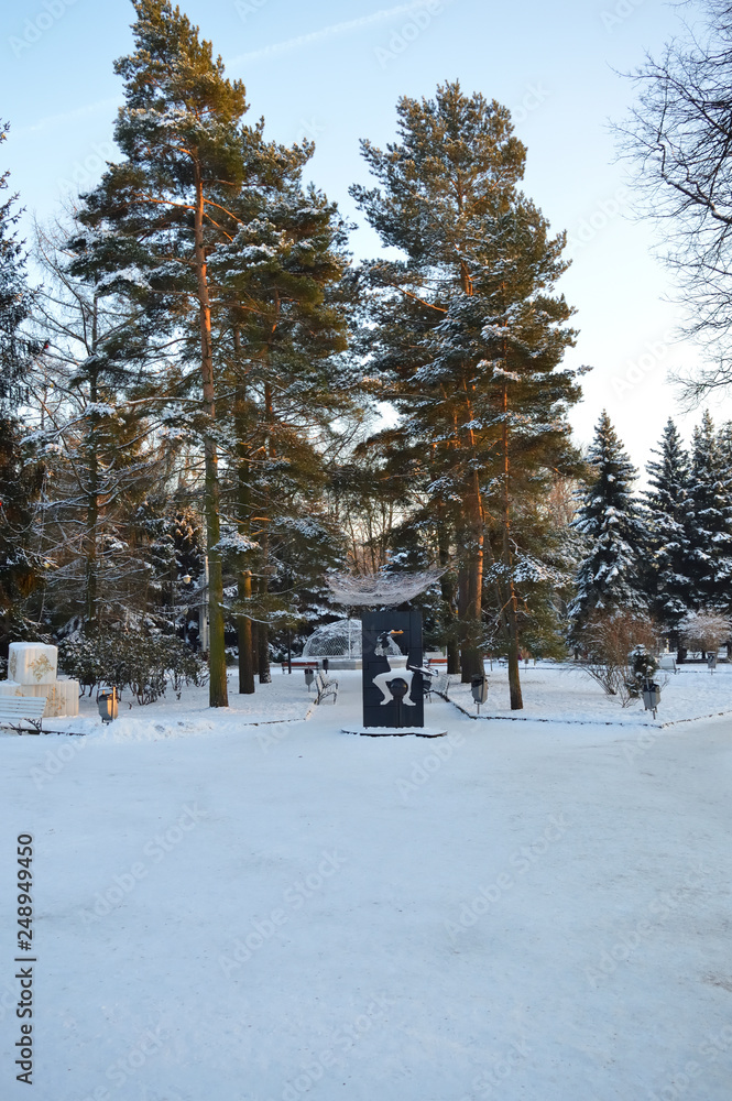 Naklejka premium Winter landscape in a park with conifers on a sunny day
