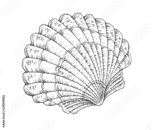 shell-4