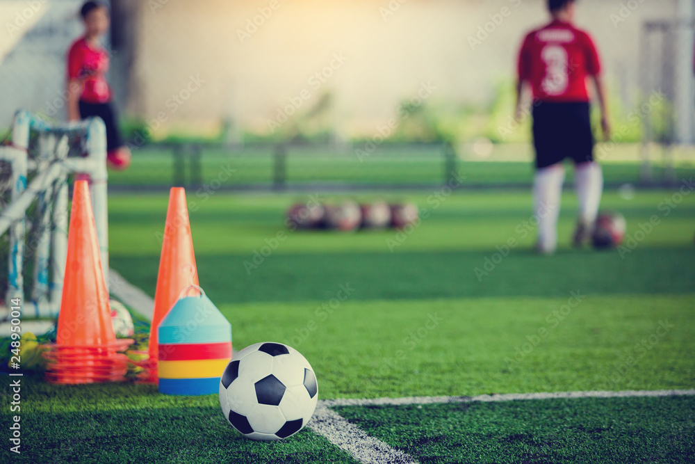 Obraz premium soccer ball and soccer training equipment on green artificial turf