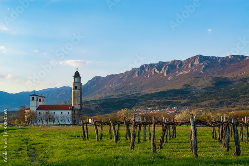 Beautiful evening countryside landscape with vineyard, church and mountains photo