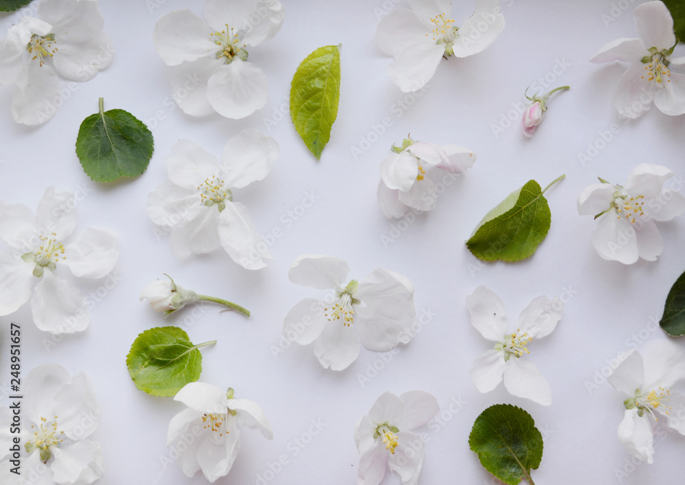 Fototapeta premium Gentle romantic floral pattern of white flowers, buds and green leaves of an apple tree. Spring freshness