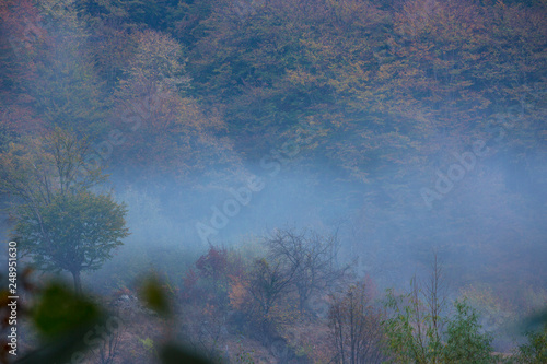 Misty autumn scenery in remote rural area in the mountains in Europe © Calin Tatu