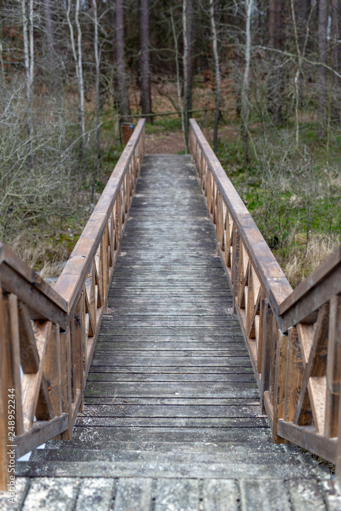 A solid wooden bridge over the forested wetlands. Forest reserve of forest bogs.