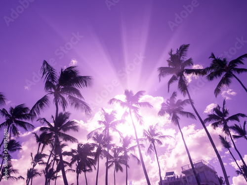 Silhouette of coconut palm trees on sky background with sun down