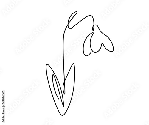 Spring flowers snowdrop on white background, vector illustration.