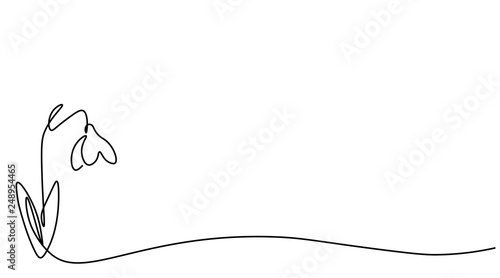 Spring flowers snowdrop on white background, vector illustration.