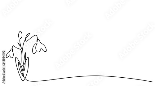 Spring flowers snowdrop on white background, vector illustration.