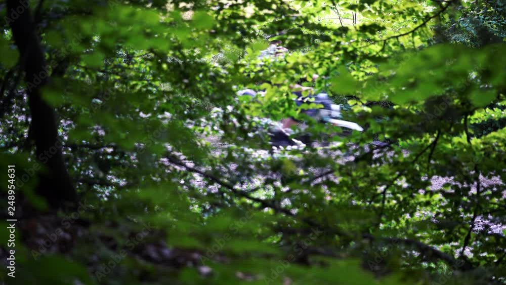 Motorcycle riding through mountain path - (4K) Motorcycle riding through mountain path - (4K)