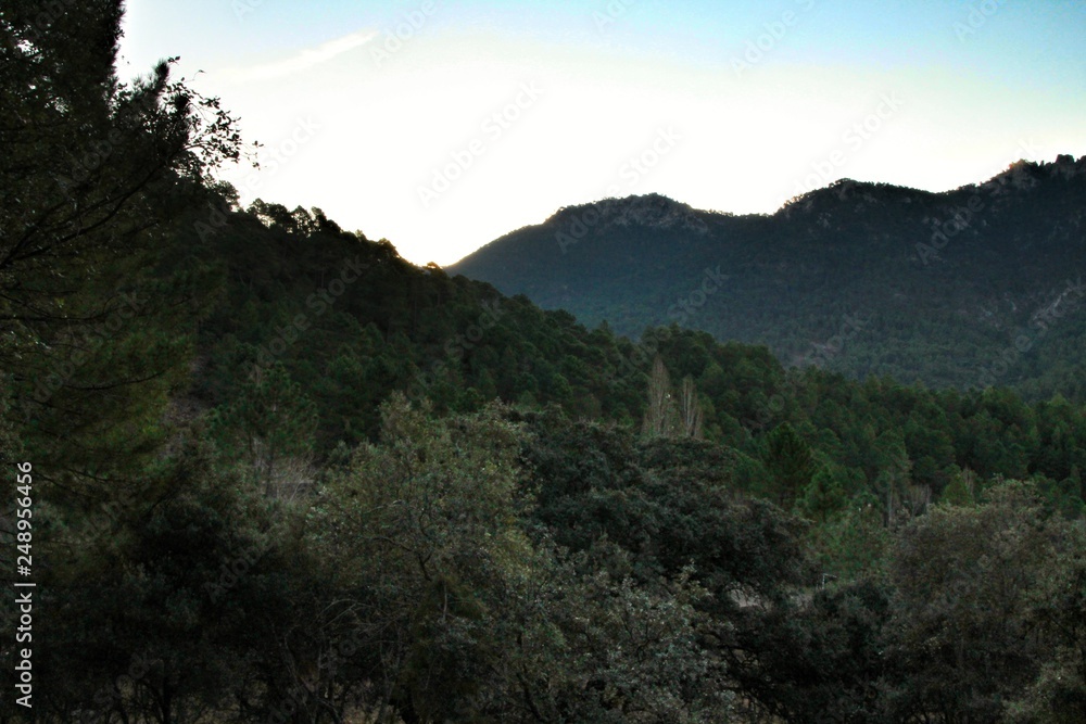 Mountain landscape with green vegetation in winter Mountain landscape with green vegetation in winter