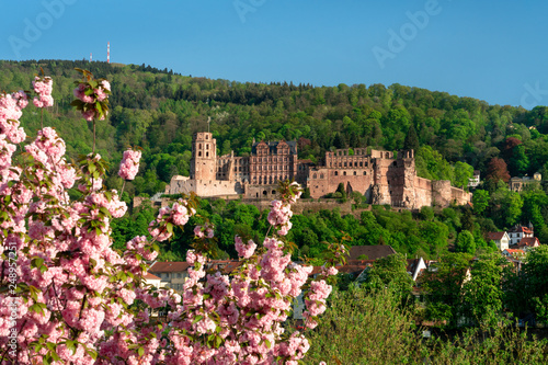 Heidelberg im Frühling mit Heidelberger Schloss und Kirschblüte