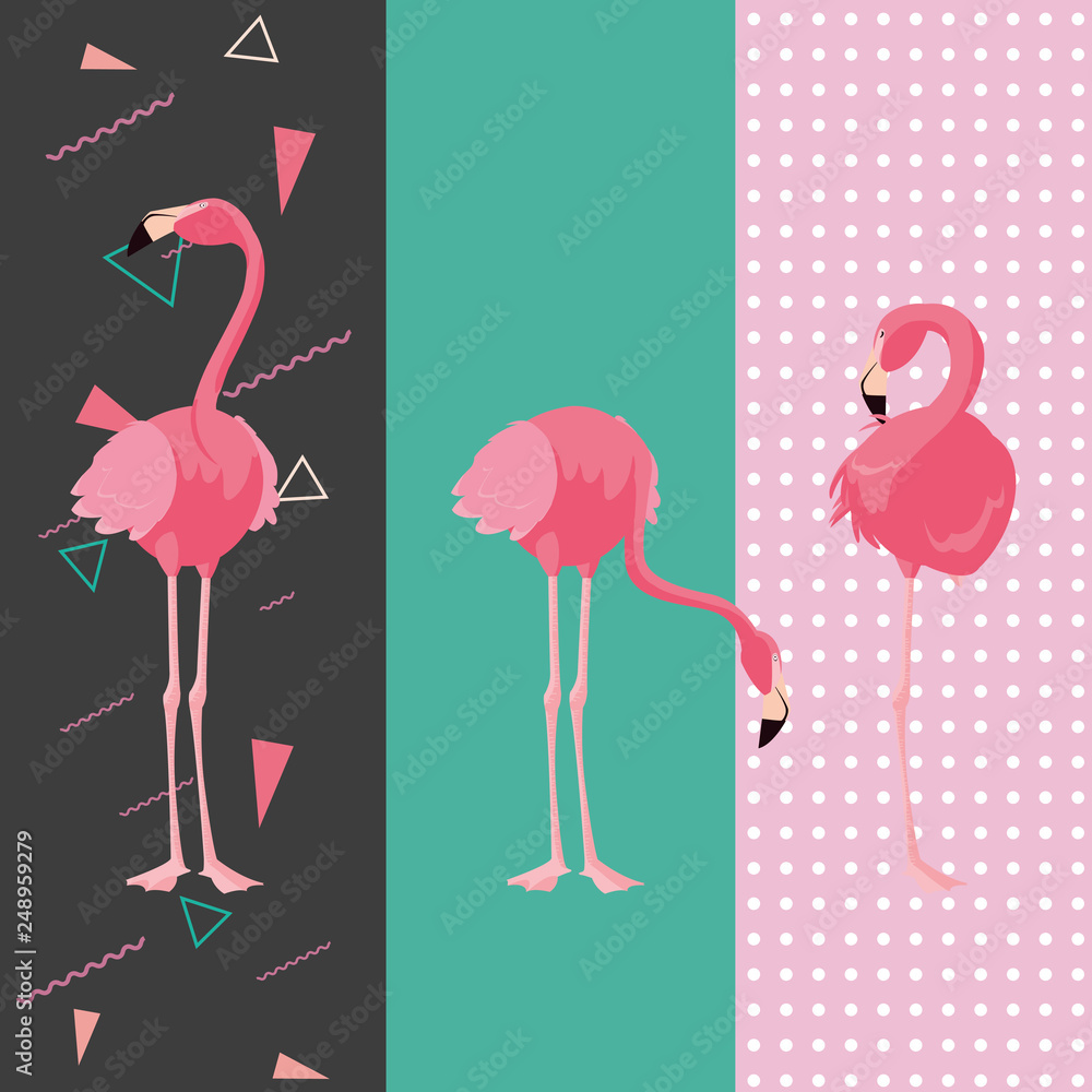 Obraz premium tropical flamingo design