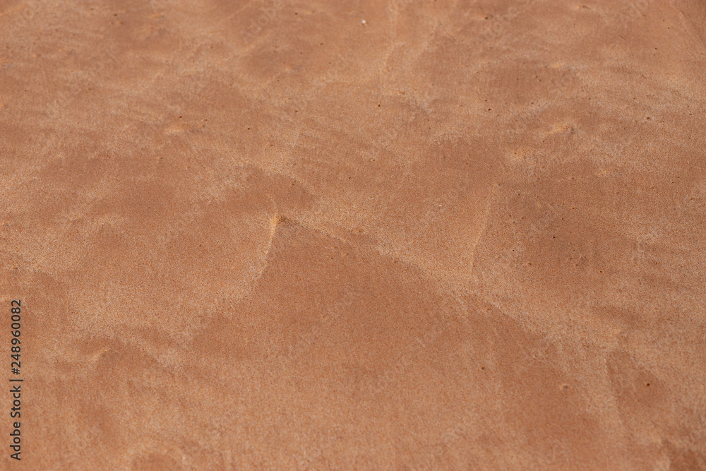 Fototapeta premium Relax time on sand beach and ocean