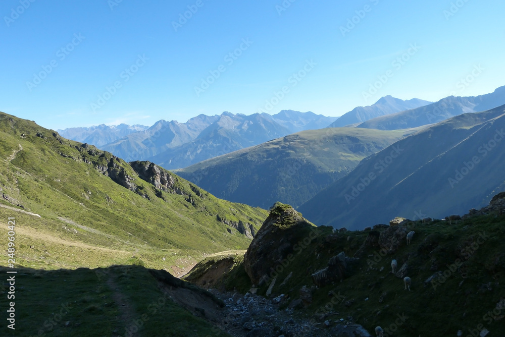 Fototapeta premium Espigous