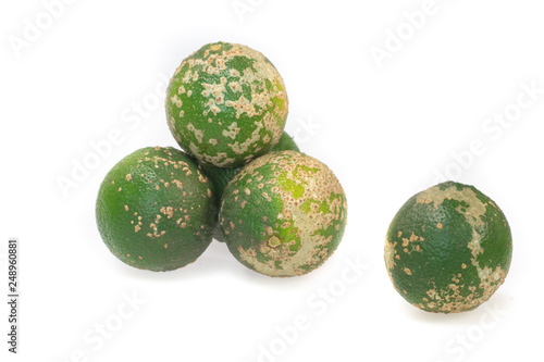 Fresh organic rustic lime isolated on white background