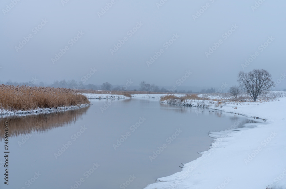 winter river not covered with ice, reeds, water, wintering ducks