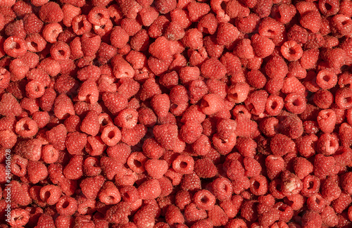 A lot of raspberry. Background