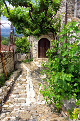 Fototapeta Naklejka Na Ścianę i Meble -  Street with grape vine in Berat, Albania.