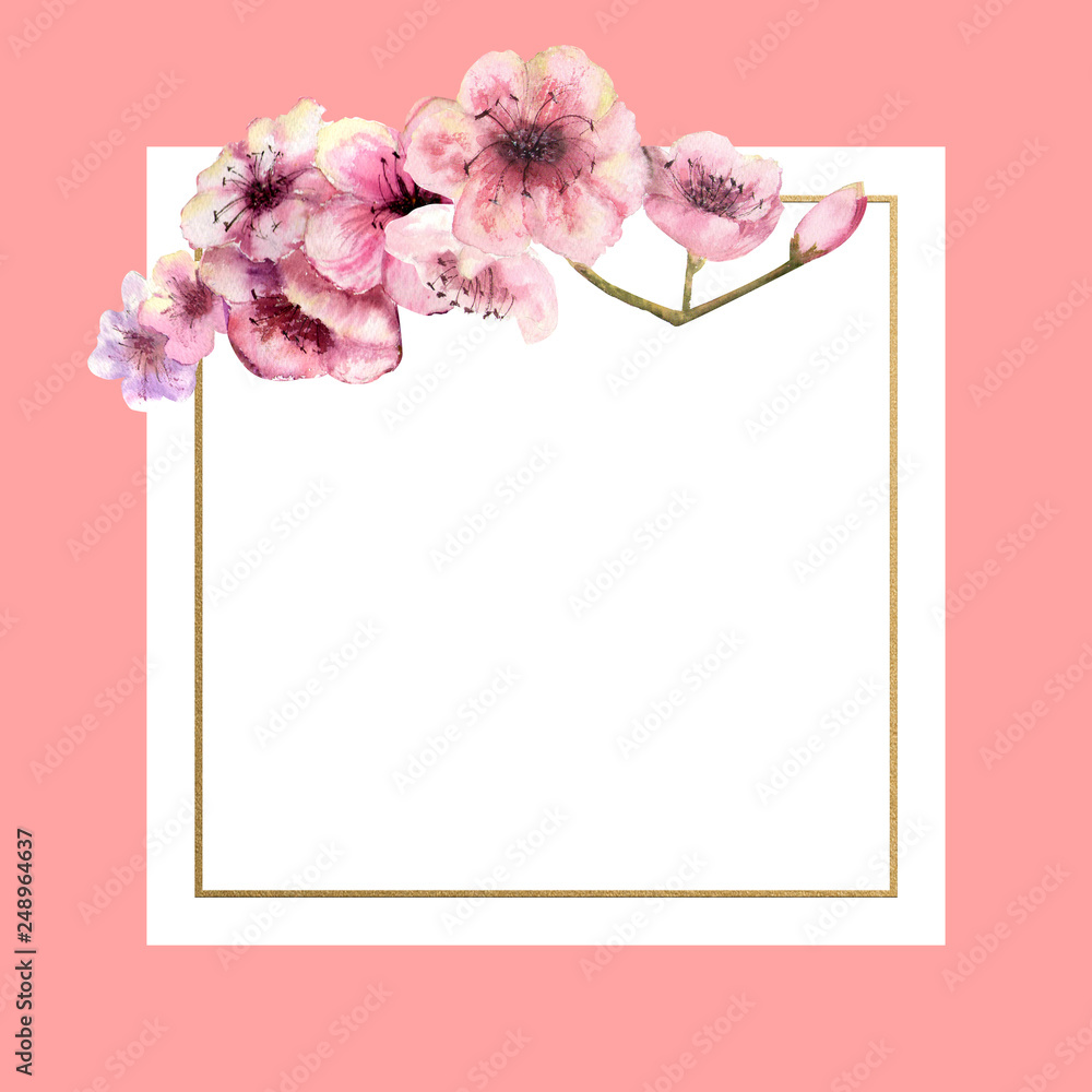 Cherry blossom, Sakura Branch with pink flowers in gold frame with beautiful pink background. Image of spring. Frame. Watercolor illustration. Design element. Square frame