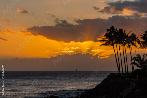 Glowing orange sunset with clouds and palm trees over ocean
