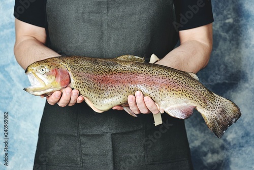 Fototapeta Naklejka Na Ścianę i Meble -  Raw wild whole trout (salmon) in male hands.