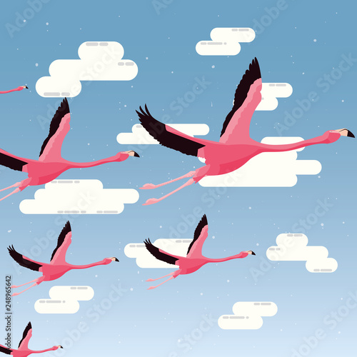cute flamingos flying
