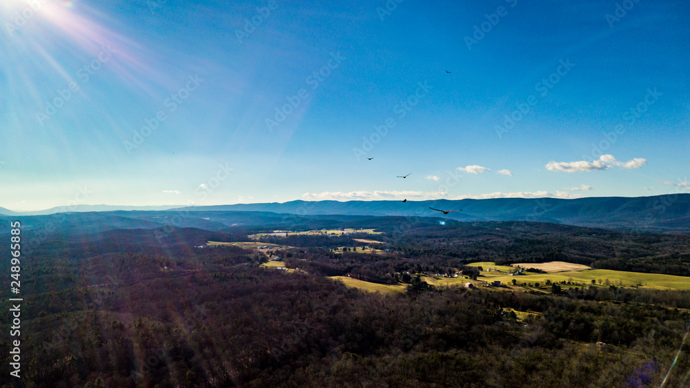 Fototapeta premium birds over Shenandoah valley