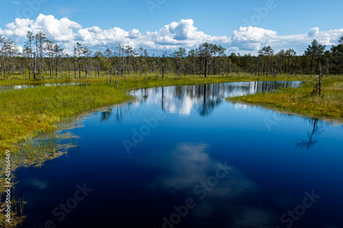 The blue Viru raba swamp lake, Lahemaa Nationa Park in Estonia.