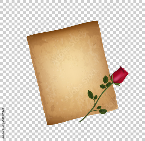 Retro Illustration of Worn Parchment and Red Rose