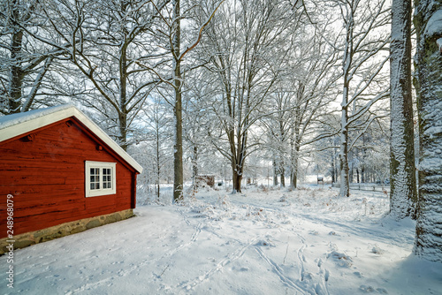 Swedish outdoor scenery in winter time © Piotr Wawrzyniuk