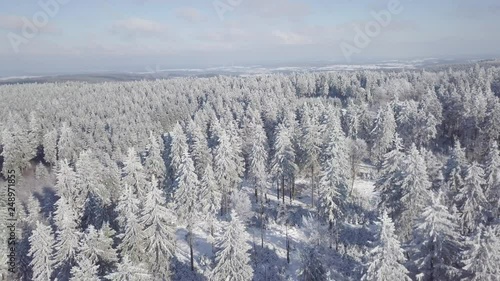 Beautiful Sunny Aerial View Winter Forest Vogelsberg Germany photo