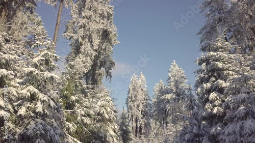 Beautiful Sunny Aerial View Winter Forest Vogelsberg Germany photo