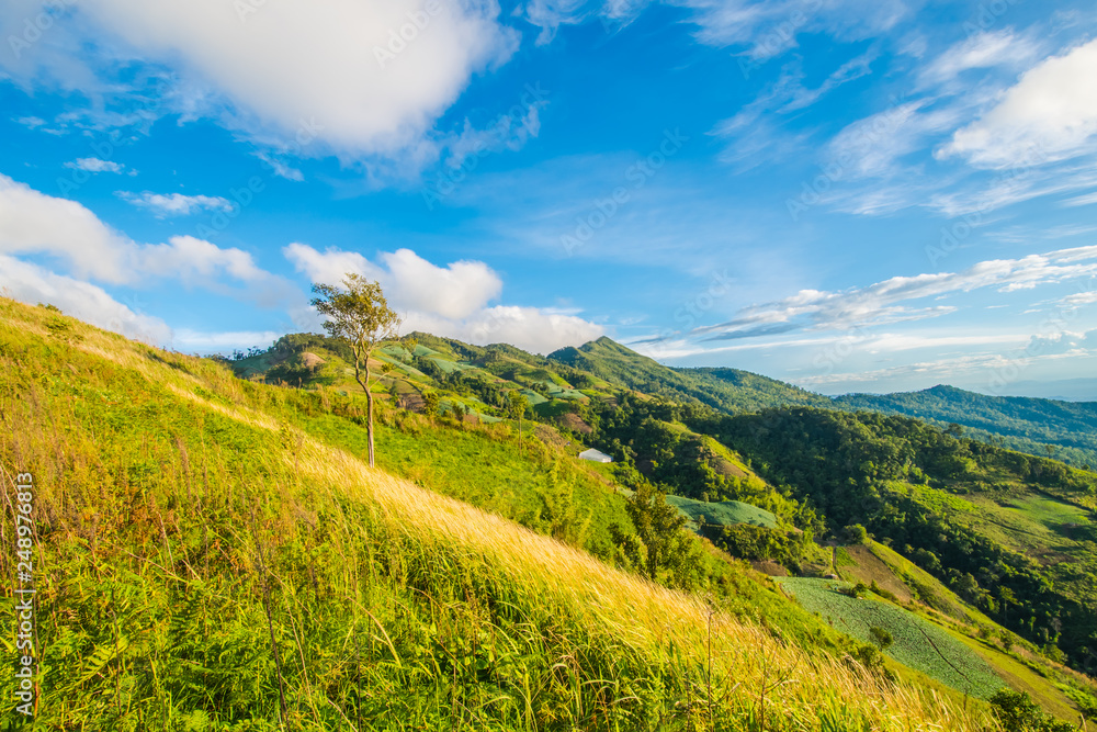 Naklejka premium Mountains in bright days.6