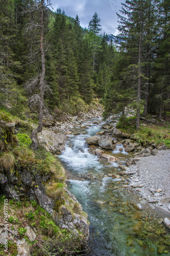 wandern in den alpen