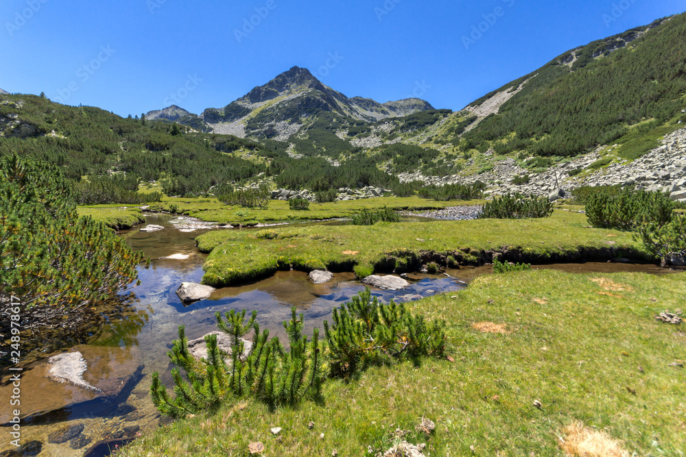 Summer landscape with Valyavitsa river and Valyavishki chukar peak, Pirin Mountain, Bulgaria