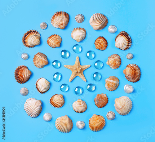 Pattern of seashells, starfish, and blue glass beads on a light blue background.