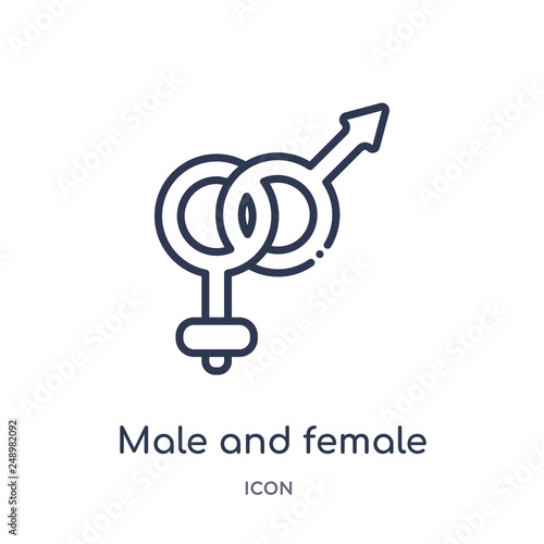 male and female icon from shapes outline collection. Thin line male and female icon isolated on white background.