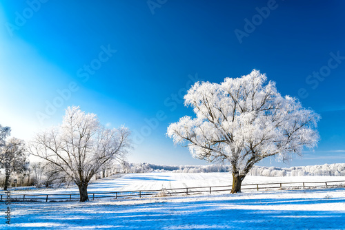 Fototapeta Naklejka Na Ścianę i Meble -  Landschaft in Masuren im Winter