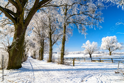 Fototapeta Naklejka Na Ścianę i Meble -  Landschaft in Masuren im Winter
