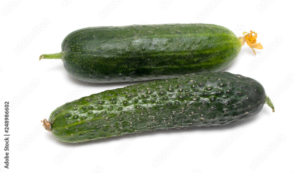 fresh green cucumber on white background fresh green cucumber on white background