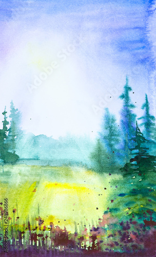 Fototapeta Naklejka Na Ścianę i Meble -  Watercolor illustration of a beautiful summer forest landscape