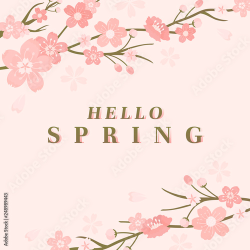 Cherry blossom background illustration