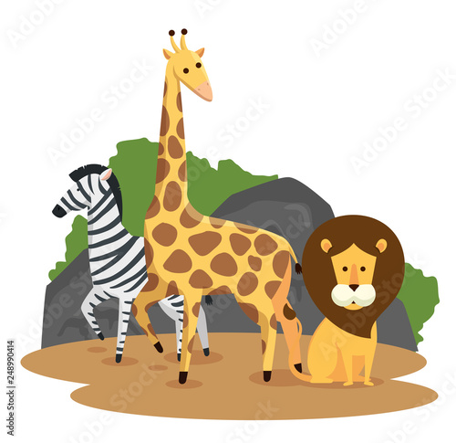 zebra with giraffe and lion wild animals