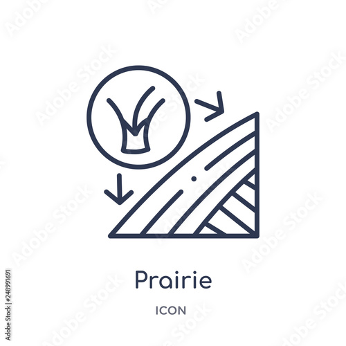prairie icon from nature outline collection. Thin line prairie icon isolated on white background.